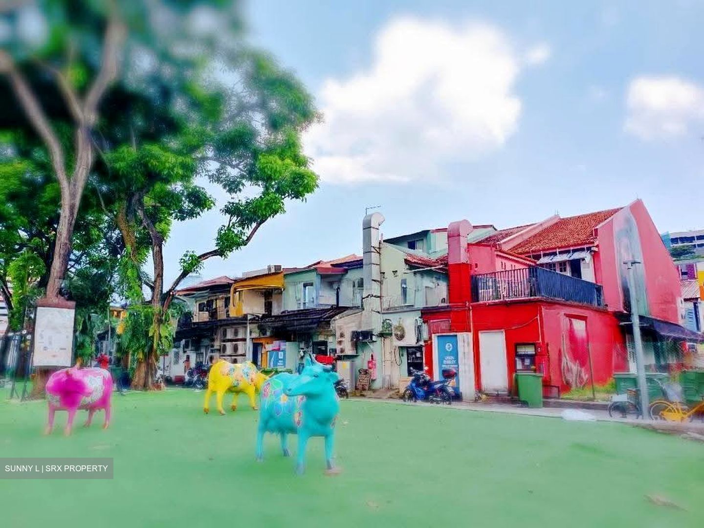 Little India Conservation Area (D8), Shop House #625738391